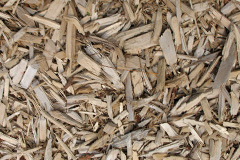 biomass boilers Bredwardine
